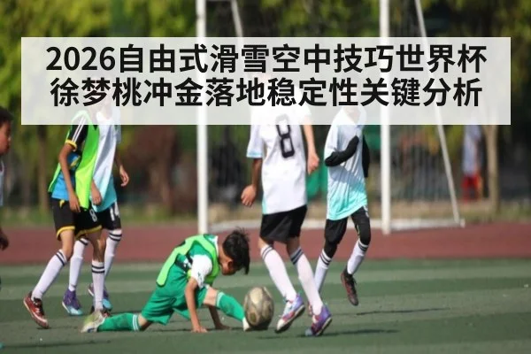 2026自由式滑雪空中技巧世界杯徐梦桃冲金落地稳定性关键分析